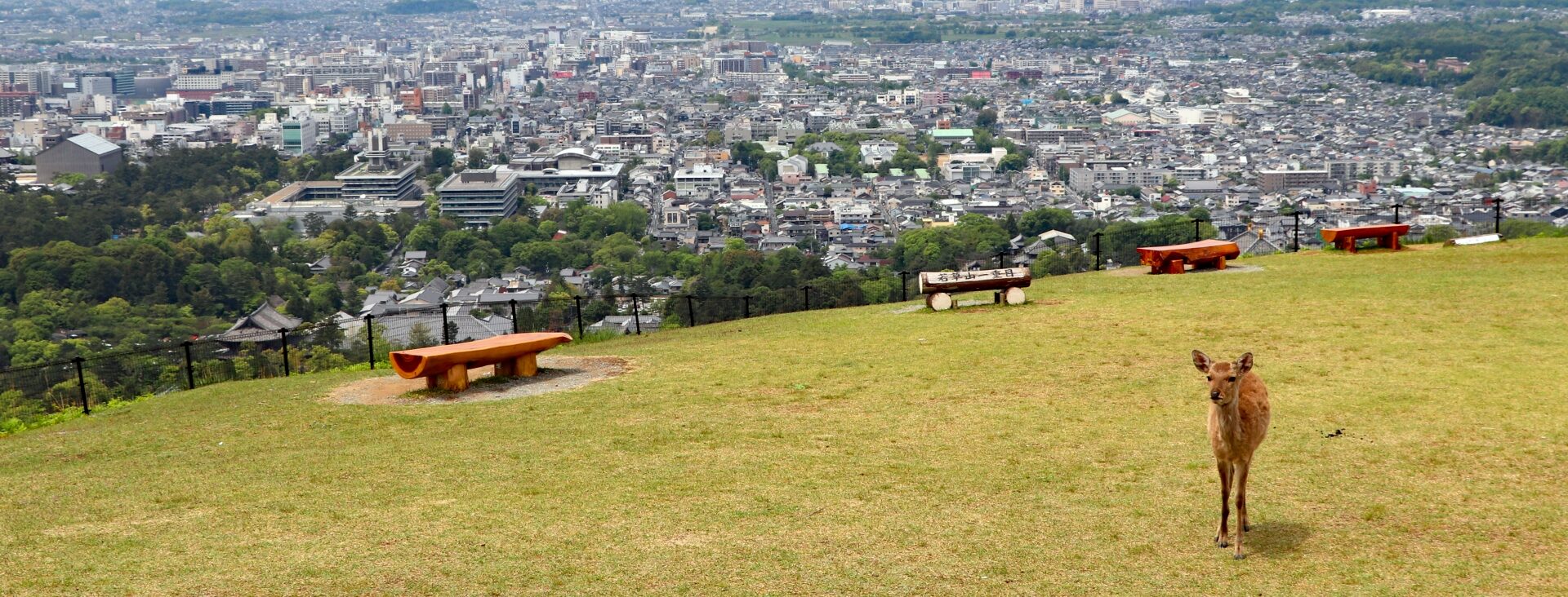 奈良県の経済的ポテンシャル　観光産業と農業・林業